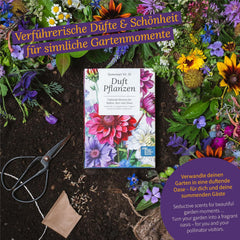 Magic Garden Seeds - Boîte de graines de plantes parfumées - Magie florale pour balcon, parterre de fleurs et sens - Graines pollinisées gratuites, charmantes fleurs comme idée cadeau pour les amateurs de jardinage