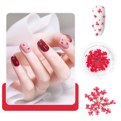 Nail Art Flowers Set Decoration - Gelnägel Zubehör 3 Farben(Orange,Blassrosa,Rose),Nail Art Aufkleber Trockene Blumen Kit Getrocknete Blumen Zubehör Set DIY Nageldekoration