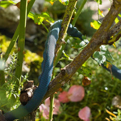 Gardena Liano Xtreme 1/2", 15 m : tuyau d'arrosage textile extrêmement robuste avec tuyau intérieur en PVC léger et résistant aux intempéries (18465-20)