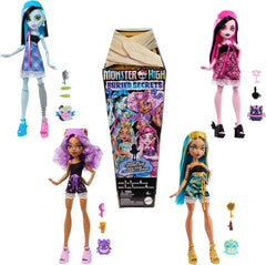 Poupées et accessoires Monster High Buried Secrets, thème Creepover douillet avec une poupée mystérieuse et 5 surprises au déballage (les chiffres peuvent varier), HYV64