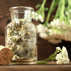 Ensemble de graines de thé : 8 variétés de graines pour balcon et jardin - menthe, camomille, anis, ortie, mauve - graines de plantes - thé - boîte à thé - plantes OwnGrown