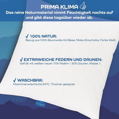 LINEA by Böhmerwald - Cosy - Oreiller Balance de haute qualité, 40X80, 70% plumes classe 1, 30% duvet neuf, adapté aux allergies, lavable jusqu'à 60°C, fabriqué en Allemagne Oreillers standards Naty Shop