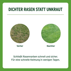 Substral Rasensamen Sport Und Spiel, 2Kg Für 100M² - Strapazierfähige Rasensaat-Mischung Mit Grünfärbung Gegen Vogelfraß