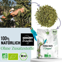 ORIGEENS BIO YERBA MATE TEA 1 KG - L'Original I Non torréfié, sans feuilles, sans tiges, sans poussière et sans miettes I Boisson énergisante et détoxifiante