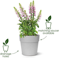 elho Vibia Straight Round 25 - Ghiveci de flori pentru exterior - Ø 24,3 x H 23,2 cm - Gri/Beton viu