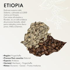 Cafea specială Boconó Specialty Coffee Ethiopia 100% Arabica, prăjire medie, 1 kg - Ideală pentru cafea V60, Chemex, Kalita etc.