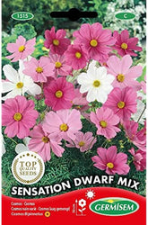 Corbeille à bijoux, multicolore, EC1515