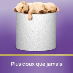 Papier toilette rembourré (12 paquets de 7 rouleaux) - doux et confortable - respectueux de l'environnement - durable