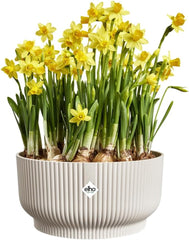 elho Vibes Fold Bowl 25 - Pots de fleurs d'intérieur - 100% plastique recyclé - Ø 24,9 x H 12,1 cm - Blanc/Lin blanc