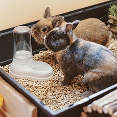 Ferplast Futter- oder Wasserspender für Hunde und Katzen AZIMUT 600 Futtertrog Water 0,6 Litre, Rutschfester Boden, 12,5 x 19 x H 19,5 cm Bleu