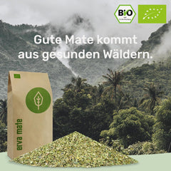 Set de degustare ceai Mate ● 4 sortimente de ceai Mate bio ● Câte 100 g Erva Mate + Yerba Mate + Ceai verde Mate + Ceai Mate prăjit