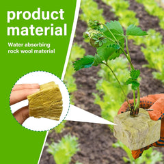 100 pièces de laine de roche Anzucht Würfel 2.5x2.5x2.5CM Rockwool Cube Anzuchtmatte Steinwolle Anbau Hydrokultur Umpflanzen für Bodenlose Anzucht Setzlinge Stecklinge Klonpflanzen