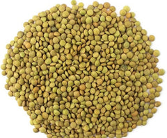 Lentilles vertes – variété Laird, paquet de 1 kg | Lentilles entières de qualité supérieure | Riche en protéines et fibres | Végétalien, sans OGM | Idéal pour les soupes, les salades, les currys et la préparation des repas