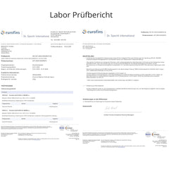 Ceai Matcha Premium Japonia 100 g - Testat în laborator - Pulbere Matcha ceremonială pentru prepararea Matcha cu notă Umami, pulbere de ceai verde 100% naturală, ideală pentru Matcha Latte, Teaclub