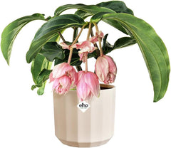 Pot rond elho Facet 23cm - pour l'intérieur - 100% plastique recyclé - Ø 22,7 x H 20,4 cm - Rose/Rose amande