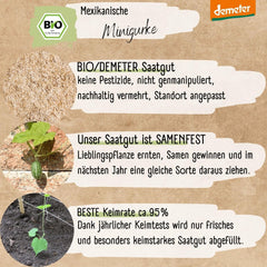 Mini graines de concombre mexicaines biologiques, 10 graines de concombre, taux de germination élevé, certifiées Demeter et pollinisation ouverte | LOVEPLANTS Graines de légumes pour lit surélevé de jardin de balcon - Variétés de légumes d'héritage