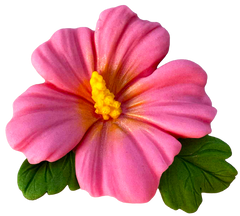 Fleur d'hibiscus comestible – 9,5 cm, décoration pour gâteaux