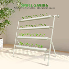 Kit de culture hydroponique 36 trous système d'irrigation des plantes hydroponiques Kit de culture hydroponique pour jardin maison jardin bureau