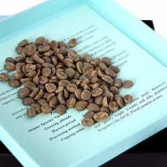 100% Entkoffeinierter au Mexique - Grüne Kaffeebohnen | Café rôti : nicht geröstet, Anzahl von Einheiten : 1 x 340g/12oz