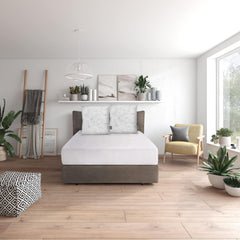 Ensemble d'oreillers Traumnacht Green Basic composé de deux oreillers 80 X 80 Cm, certifiés Oeko-Tex, produits selon la norme de qualité allemande Naty Shop oreillers standard 80 X 80 Cm