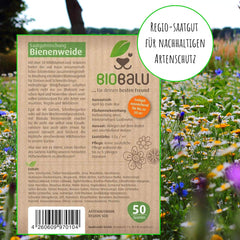 Graines d'abeilles - fleurs sauvages des prés, vivaces et résistantes à l'hiver, graines - plus de 40 fleurs indigènes et herbes sauvages, sélection spéciale d'espèces pour le sud de l'Allemagne, 50g