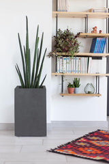 Basalt Up Pot de Fleur Carré Haut 36 L Aspect Béton Mur Uni Réservoir d'Eau 29,5 x 29,5 x 49,5 cm Gris Anthracite