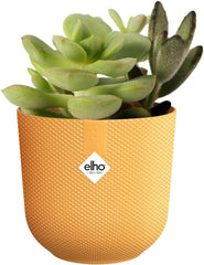 elho Jazz Round Mini 7cm - Pots de fleurs d'intérieur - 100% plastique recyclé - Ø 7 x H 6,5 cm - Jaune/Ambre