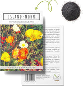 Amestec de semințe de mac islandez (Papaver nudicaule) - Maci cu înflorire frumoasă, cu o perioadă lungă de înflorire, pentru o pajiște cu flori colorate (mac islandez)