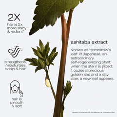 Shu Uemura, Ashita Supreme, Masque capillaire revitalisant intensif, Pour tous types de cheveux, À l'extrait d'ashitaba, Pour plus de brillance et de souplesse, Anti-fourches, 200 ml Naty Shop Hair Mask