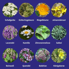 Semințe Magic Garden - Set de semințe de plante medicinale din Europa Centrală - 12 soiuri tradiționale de plante medicinale populare - Soiuri Heirloom - Accesorii de grădină - Semințe de plante - Cadou pentru iubitorii de grădină