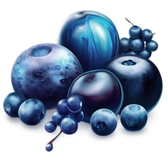 Coloranți alimentari pudră colorant natural Fruity Line BLUEBERRY 20G pudră colorantă naturală pentru creme glazură burete aluat sub formă de pudră colorant alimentar pentru băuturi jeleuri