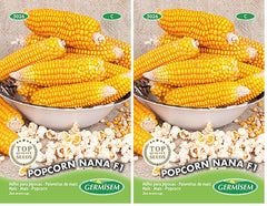 POPCORN NANA F1