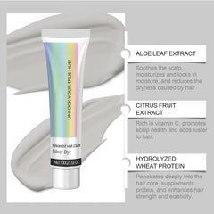 Coloration Cheveux Argent Gris Argent Crème Colorante Naturelle Crème Colorante Temporaire Crème Colorante Gris Crème Teinture Cheveux Argent Semi Permanente Pour Tous Types de Cheveux 2 Pièces Naty Shop Coloration Capillaire