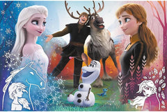 Trefl, Puzzle, Magical Time, Disney Frozen 2, 300 pièces, Pour les enfants de plus de 8 ans Puzzle Naty Shop