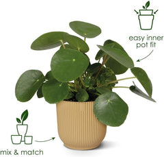 Elho Vibes Fold Rund 14 Pflanzentopf - Blumentopf Für Innen - 100% Recyceltes Plastik - Ø 14.1 X H 12.9 Cm - Grün/Sorbet Green