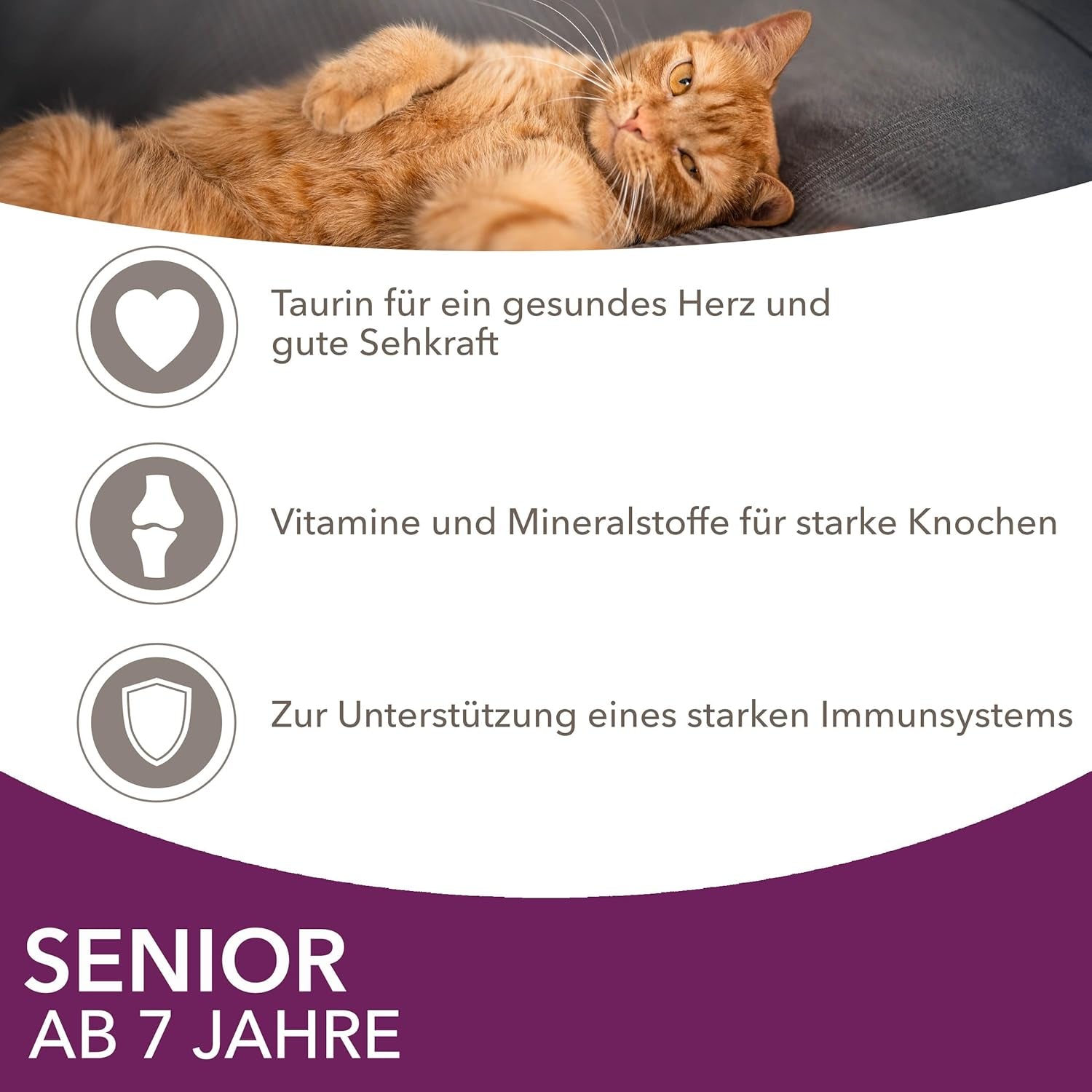 IAMS Delights Senior Cat Food Wet - Multipack cu pui și pește în sos, hrană umedă de înaltă calitate pentru pisici bătrâne de la 7 ani, 12 X 85 G