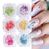 EYVRPAU 6 pièces Nail Art Fleurs Set Décoration, Gelnägel Zubehör 6 Farben, Nail Art Aufkleber Trockene Blumen Kit Getrocknete Blumen Zubehör Set DIY Nageldekoration