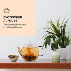 Boîte mixte élégante de 6 pièces Feelino - Fleurs de thé blanc Feelino dans une magnifique boîte de dégustation et cadeau avec 6 roses de thé blanc différentes, emballées individuellement sous vide, paquet de 1 pièce