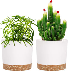 Ghiveci de flori set de 2 12,7 cm, ghivece pentru plante de interior cu găuri de drenaj și bază detașabilă, farfurioare decorative moderne pentru jardiniere de grădină de exterior (alb 12,7 cm)
