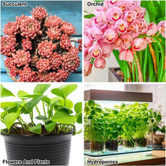 Granulés d'argile à gros grains, granulés d'argile expansée, granulés végétaux, substrat de plantation hydroponique d'argile expansée 1L, granulés d'argile de granulation de 5 à 8 mm