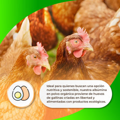 Sermand Nutrition Albumine d'Oeuf 100% Poudre Sans Gluten Sans Lactose