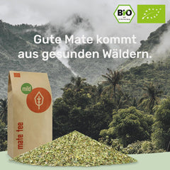 Tea Mate Bio Doux 1 kg - Pur, frais et vert - Séché à l'air - Yerba Mate biologique - Contrôlé, certifié et emballé en Allemagne (1000 g)