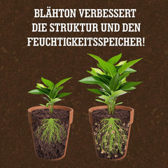 Argilă expandată LERAVA® (1L) – Granule de argilă pentru plante de apartament și hidroponie – Argilă vegetală cu pH neutru pentru drenaj optim – Ideală ca strat de drenaj sau granule de argilă decorative pentru plante