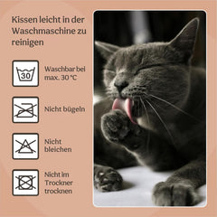 Paturi, cuverturi & mobilier, animale de companie, pisici, paturi pisici, Pisici - culcusuri, saltele