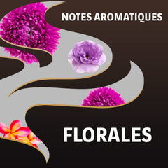 LAVAZZA - Espresso Barista Perfetto - Café en grains - 100% Arabica - Italien - Force 6 - 2 paquets de 1 kg chacun (le conditionnement peut varier)