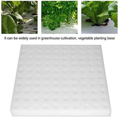 Éponge hydroponique, 100 pièces éponges hydroponiques pour la culture de graines, outil de jardinage pour petites plantes à bourgeons ou semis