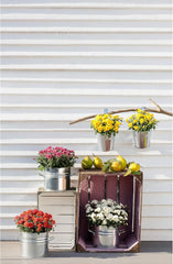 Pot Dehner avec support anse, Ø 14 cm, hauteur 14 cm, zinc, argent