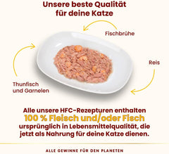 Hrană umedă naturală pentru pisici Almo Nature HFC - ton și creveți, pachet de 24 (24 x 70g)