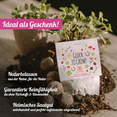 10x "Glück to grow" Semenbomben als Glückbringer 2026 & Blumensamen Geschenk | Mitbringsel Erwachsene & kleine Gastgeschenke Silvester - Kleeblatt Glückbringer Prüfung - inkl. Ensemble de cartes-cadeaux