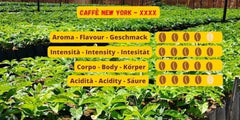 Caffè New York - XXXX - Café en grains, arôme intense mais fin, Arabica et torréfaction moyenne, robuste, à moudre, expresso italien, mélange de bar - haute qualité depuis 1930 - 1 kg, en grains